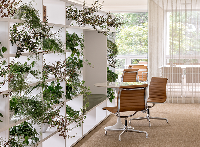 Just Climate Sao Paulo Office
